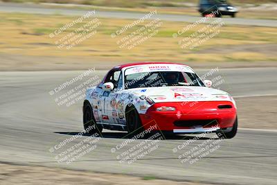 media/May-24-2025-Turn8 Trackdays (Sat) [[034586b55d]]/1 Advanced 2/Session 2 (Cotton Corners-Grapevine)/